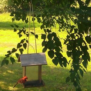 Meet your Posher, Rose